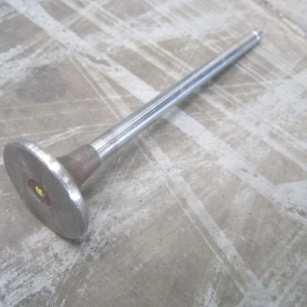 SP106461	4955239	Intake valve