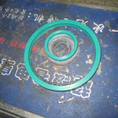 SP106481	ZF.0501298347	Gland