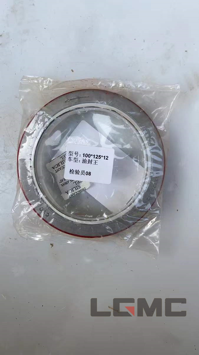 490B-01035 100X125X12 Crankshaft Oil Seal
