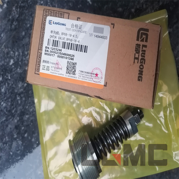 12C5296 Check valve
