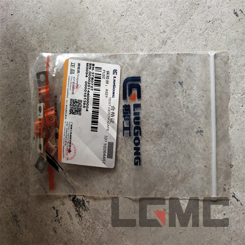 37B0727 Fuse