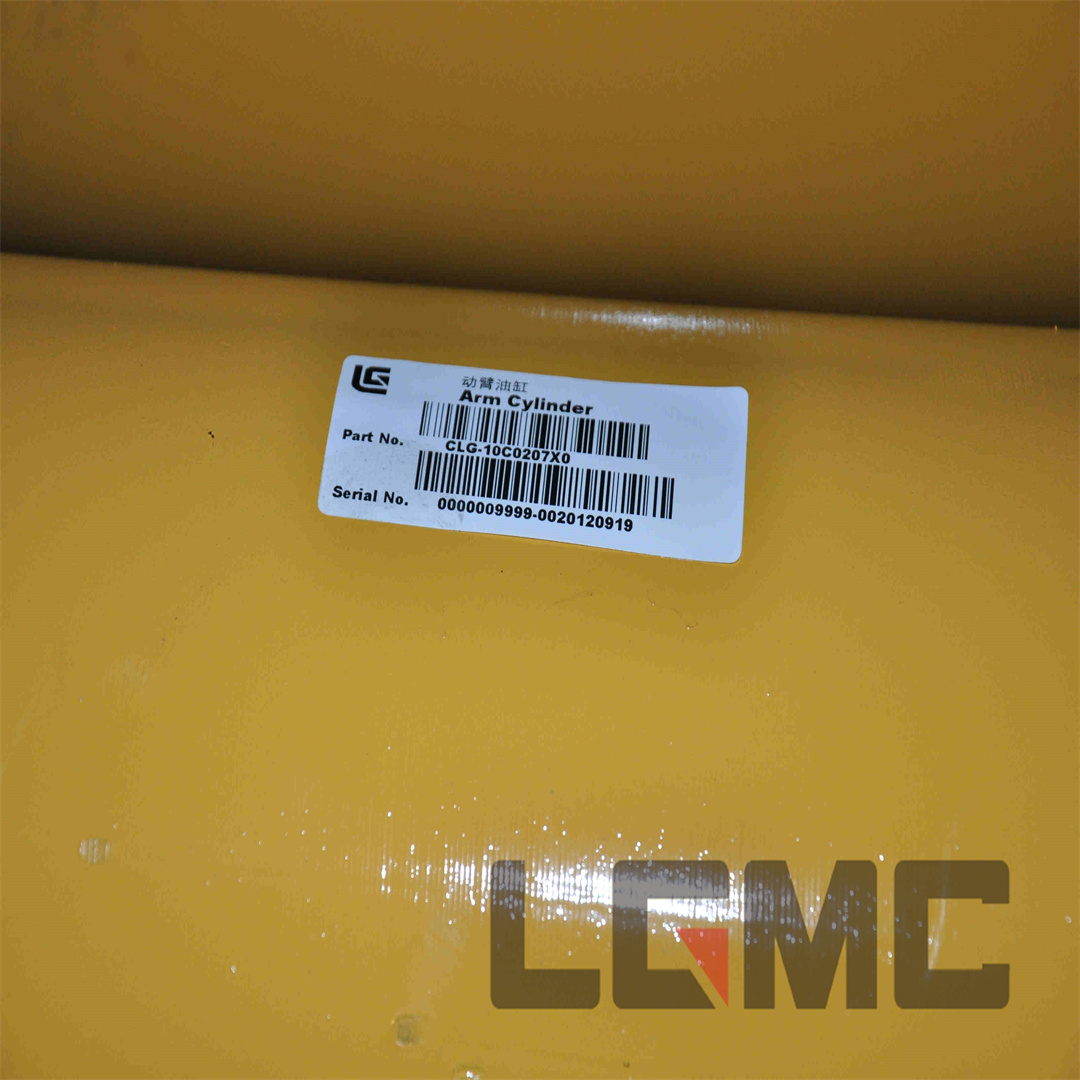 10C0207X0 Boom cylinder