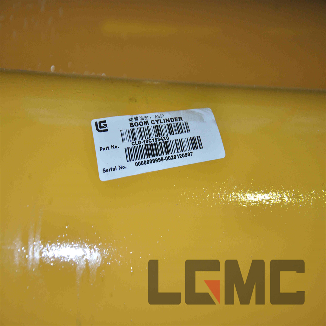 10C1534X0 Boom cylinder