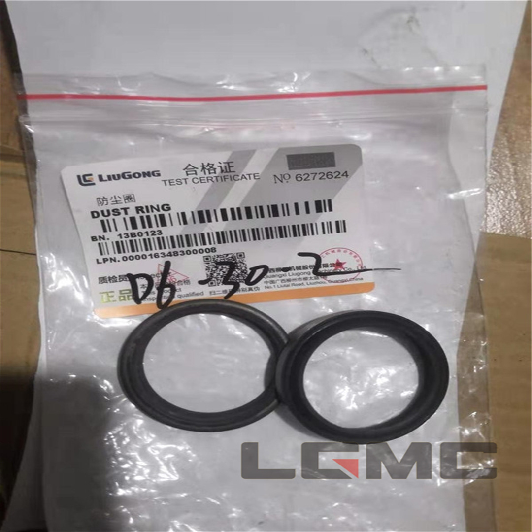 13B0123 dust ring
