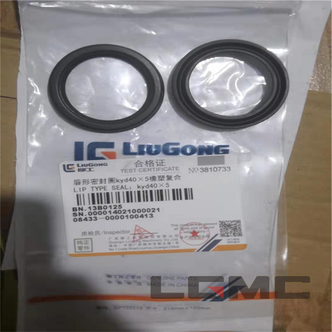 13B0126 lip seal kyd70x10