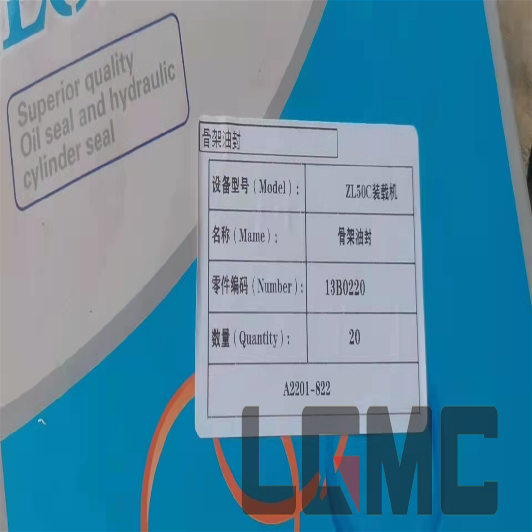 13B0220 Skeleton oil seal