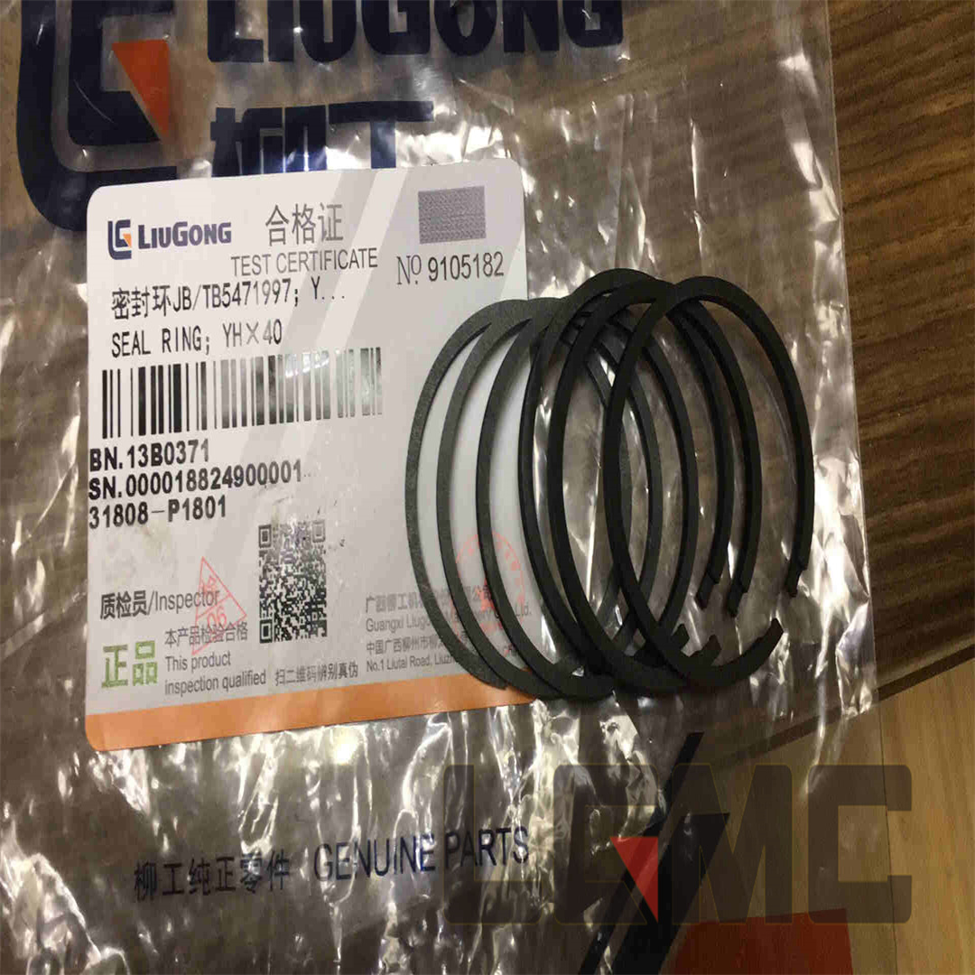 13B0371 seal ring
